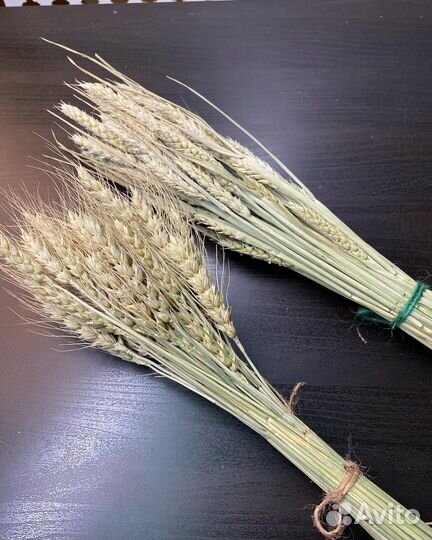 Пшеница с остью и без