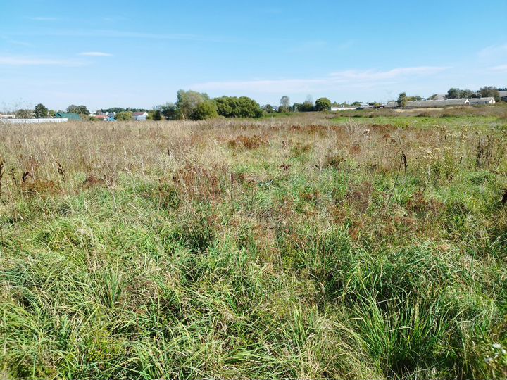 Участок 7,5 сот. (ИЖС)