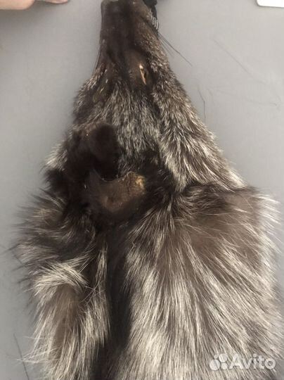 Шкура чернобурки