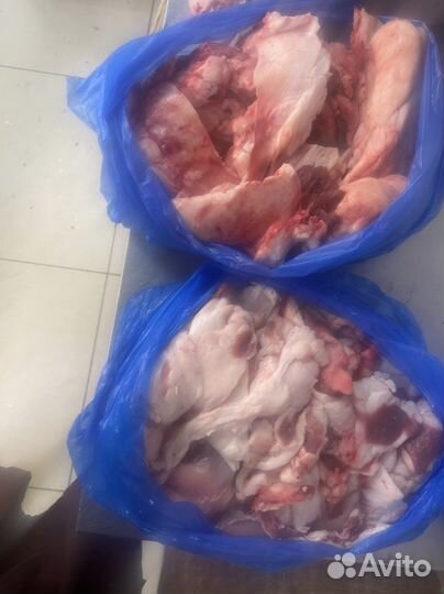 Обрезь жирная для собак