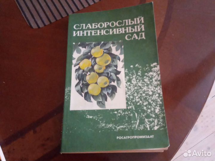 Книга