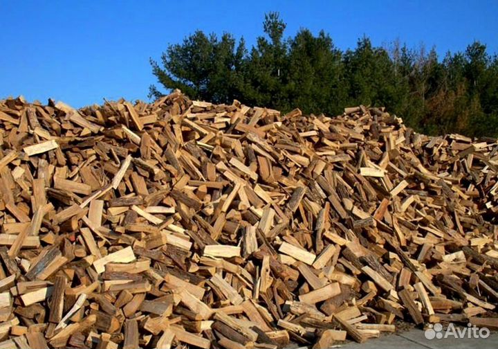 Дрова в СПБ