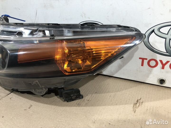Фара передняя левая Honda Accord 8 CU 2008-2012