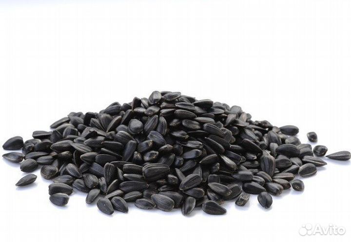 Подсолнечник для жарки