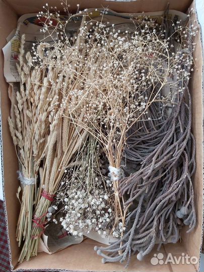 Сухоцветы для творчества