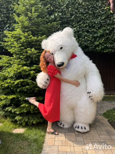 Белый мишка. Гендер пати. Танцующий медведь