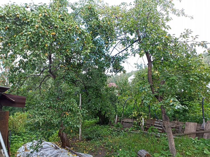 Дача 40 м² на участке 4,8 сот.