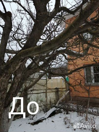 Услуги садовника