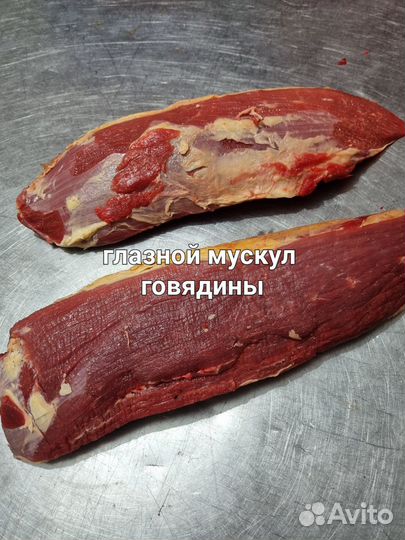 Мясо говядины
