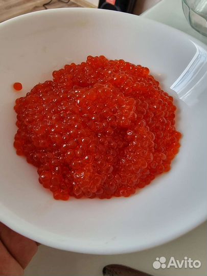 Красная икра горбуши
