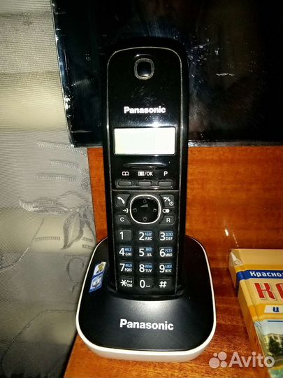 Panasonic