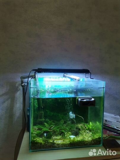 Аквариум