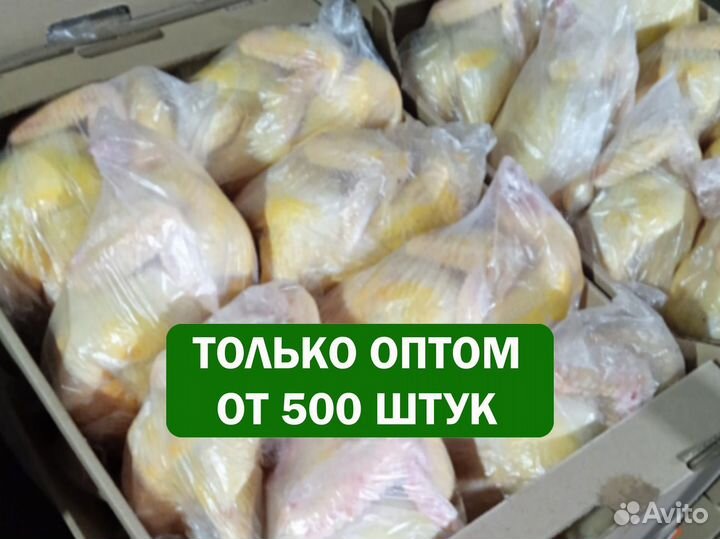 Бройлеры тушки мясо оптом