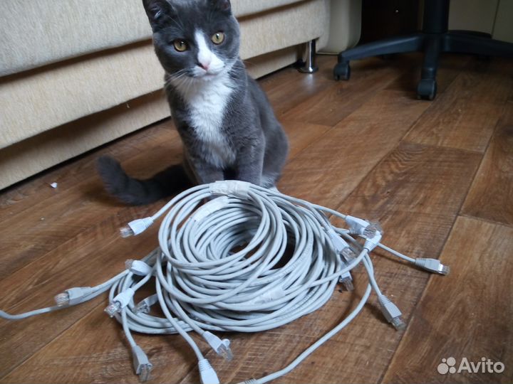 Патч корды cat5e (витая пара)