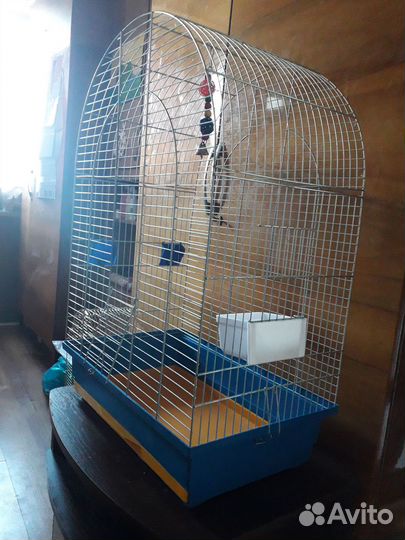 Клетка для птиц