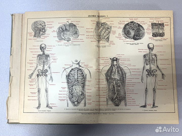 Малый энциклопедический словарь 1907 года