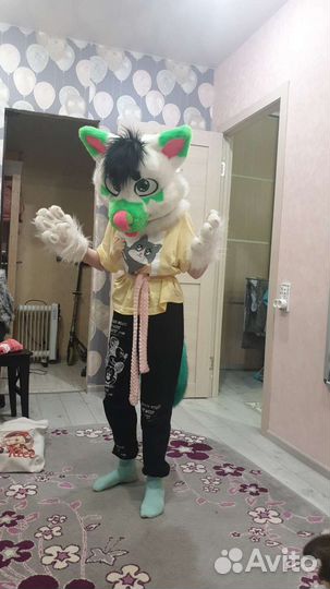 Фурсьют (собака)