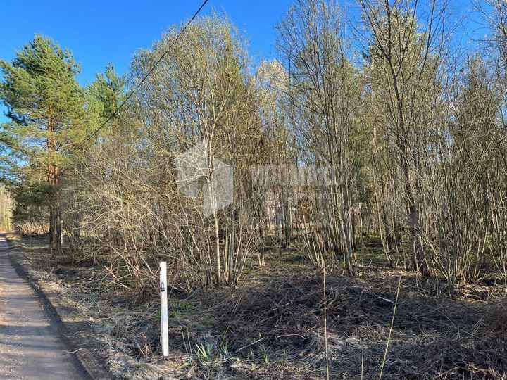 Участок 6,6 сот. (СНТ, ДНП)