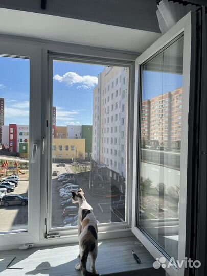 Москитные сетки на окна изготовление и установка