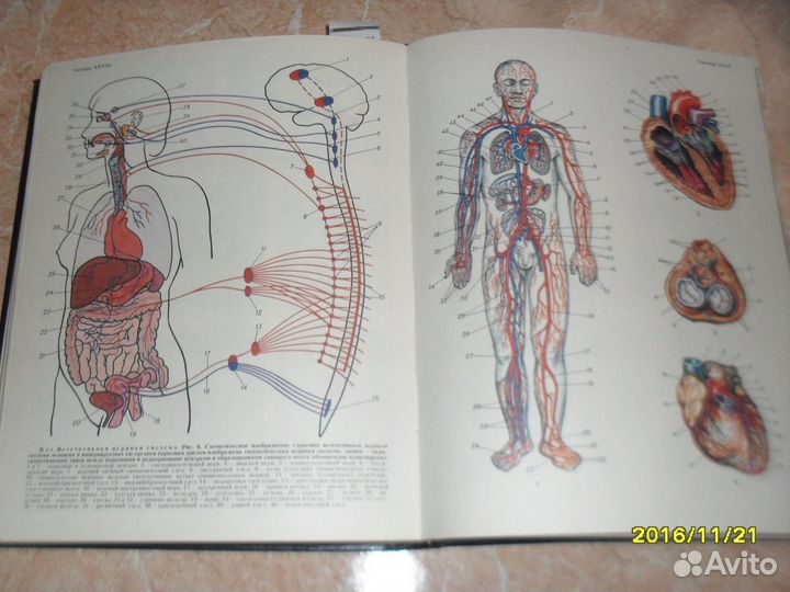 Справочники по медицине
