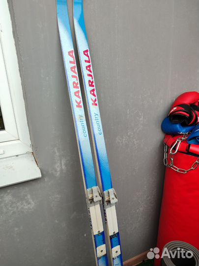 Беговые лыжи