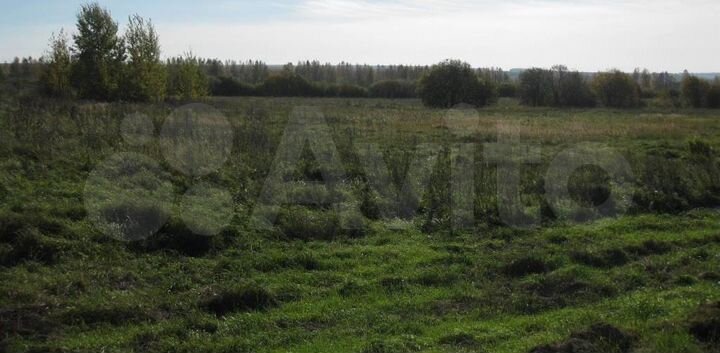 Участок 4,5 га (СНТ, ДНП)