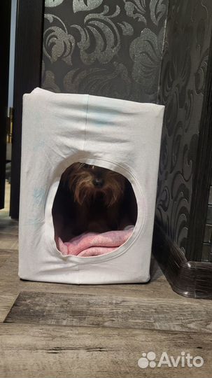 Дома для собак мелких пород и кошек