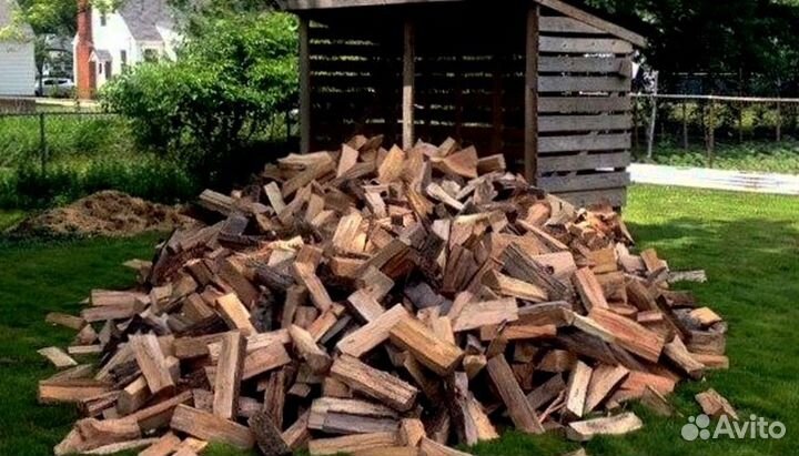 Дрова в Белоострове
