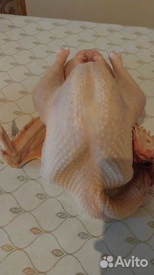 Мясо индейки