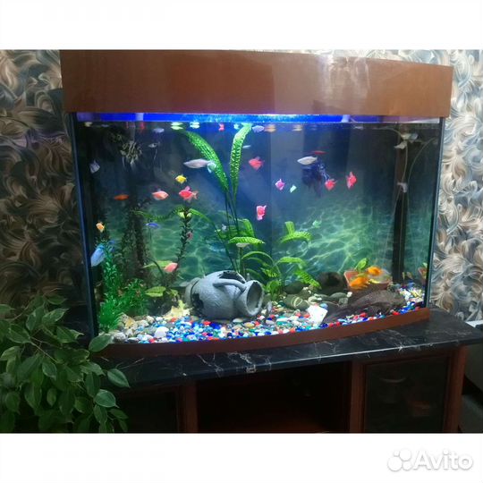 Аквариум