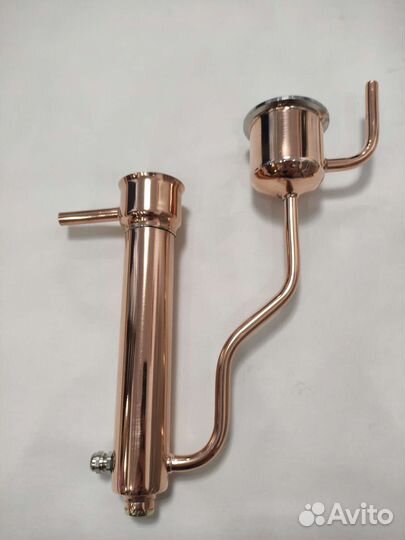 Медный попугай