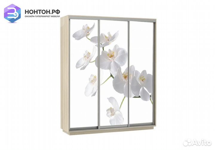 Шкаф-купе Нонтон 3-дверный ясень шимо светлый / ор