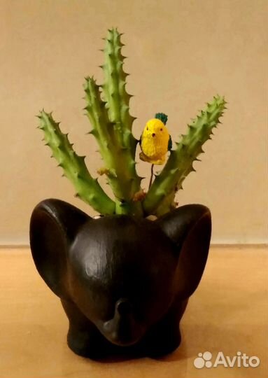 Мини - садик