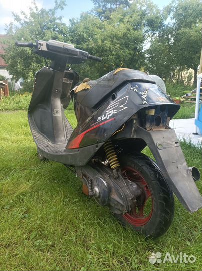 Suzuki Adreress v50