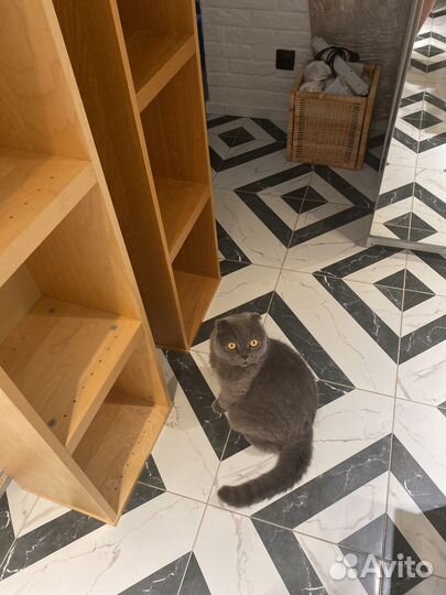 Книжная полка IKEA билли