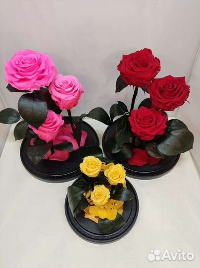 Цветы оптом