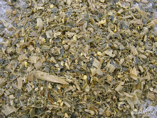 сенаж крс. силос кукурузный. сенаж люцерновый. силос трава. силос и сенаж.