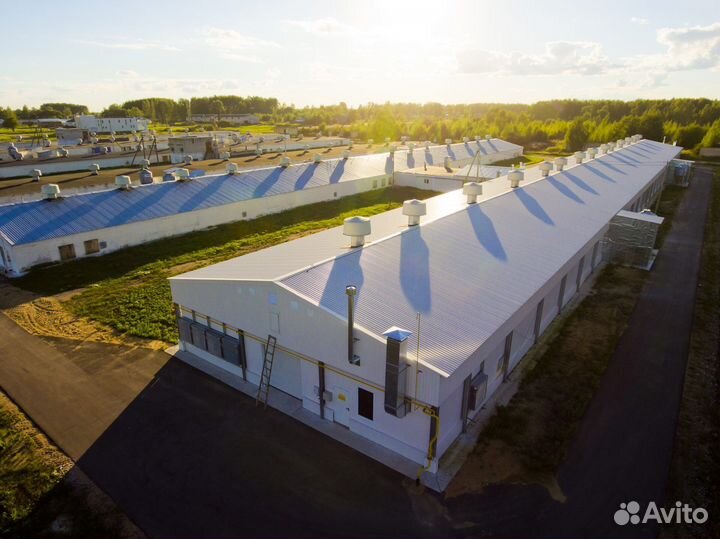 Птицеферма