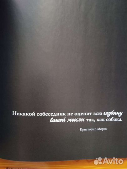 Маленькие собаки. История любви Блэнкс Тим