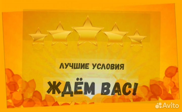 Упаковщик Еженедельные выплаты Без опыта