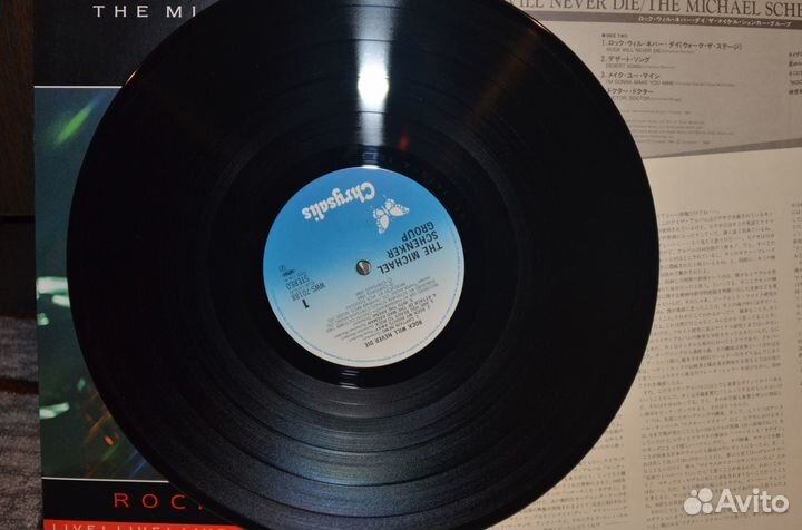 MSG rock will never dae