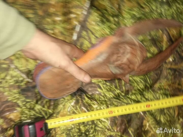 Африканская маска