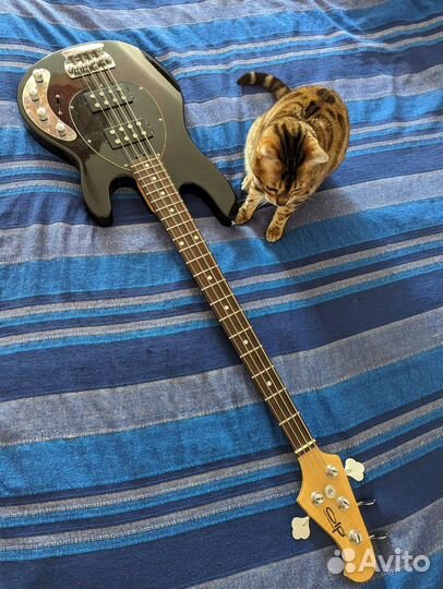 Бас гитара мужик мен