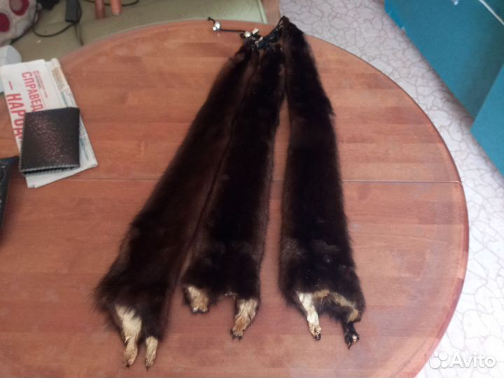 Шкурки норки