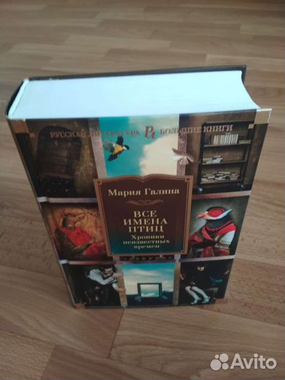 Большие книги. Мария Галина