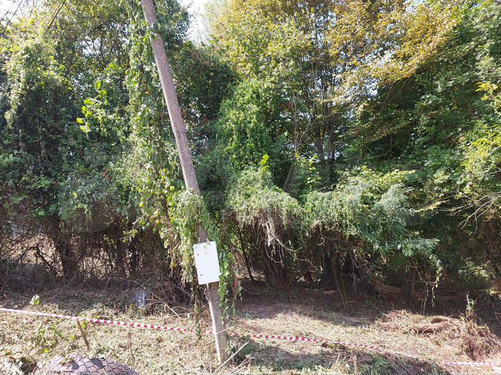 Участок 5,3 сот. (СНТ, ДНП)