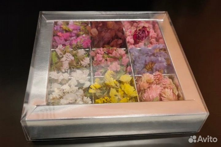 Сухоцветы для творчества