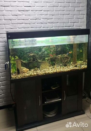 Аквариум с тумбой 300 литров