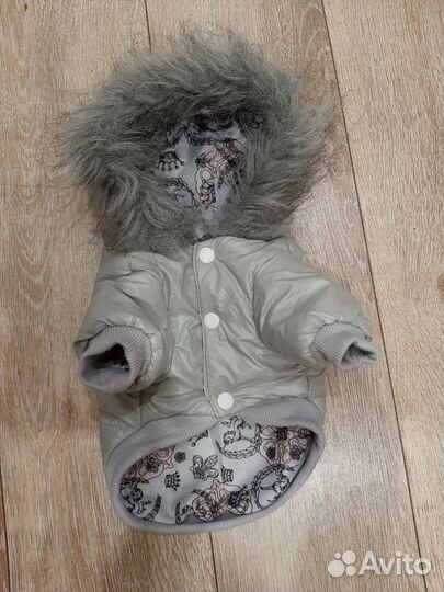 Одежда для маленьких собак