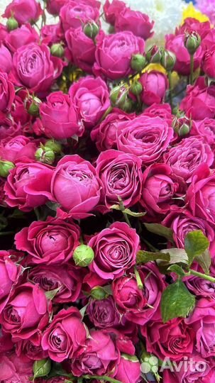 Цветы оптом. Розы, букеты, с доставкой от склада